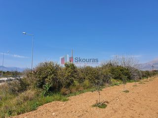 Οικόπεδο 2.630 τ.μ. για πώληση, Αργολίδα, Μιδέα-thumb-19