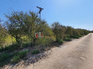 Οικόπεδο 2.630 τ.μ. για πώληση, Αργολίδα, Μιδέα-thumb-1