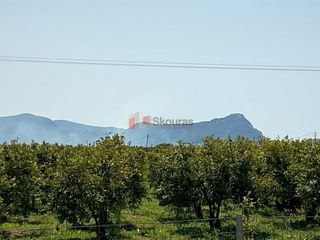 Οικόπεδο 454 τ.μ. για πώληση, Αργολίδα, Άργος-thumb-22
