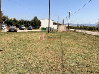 Οικόπεδο 454 τ.μ. για πώληση, Αργολίδα, Άργος-thumb-10