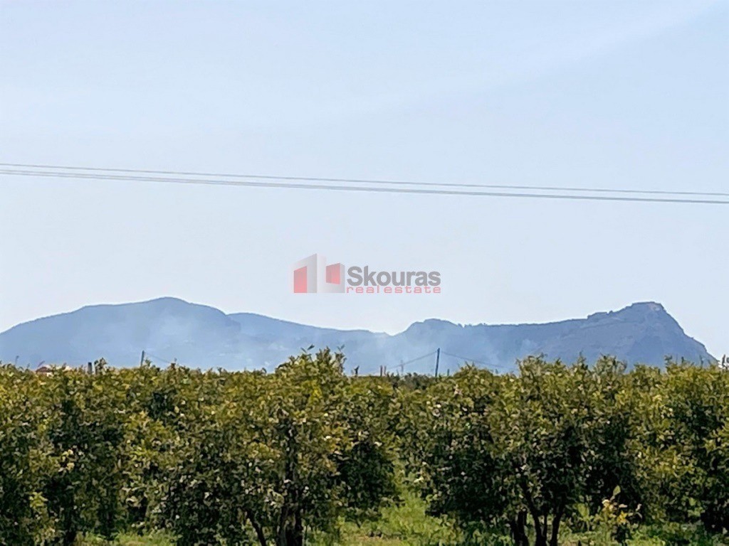 Οικόπεδο 454 τ.μ. προς πώληση, Δαλαμανάρα