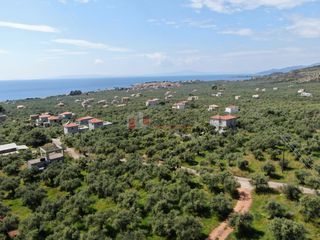 Οικόπεδο 1.759,43 τ.μ. για πώληση, Μεσσηνία, Λεύκτρος-thumb-17