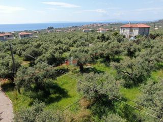 Οικόπεδο 1.759,43 τ.μ. για πώληση, Μεσσηνία, Λεύκτρος-thumb-12