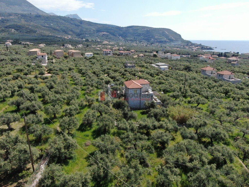 Οικόπεδο 1.759,43 τ.μ. προς πώληση, Άγιος Δημήτριος Λεύκτρου
