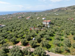 Οικόπεδο 1.759,43 τ.μ. για πώληση, Μεσσηνία, Λεύκτρος-thumb-15
