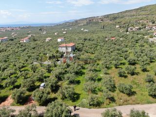 Οικόπεδο 1.759,43 τ.μ. για πώληση, Μεσσηνία, Λεύκτρος-thumb-22