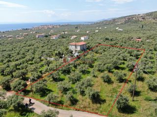 Οικόπεδο 1.759,43 τ.μ. για πώληση, Μεσσηνία, Λεύκτρος-thumb-8