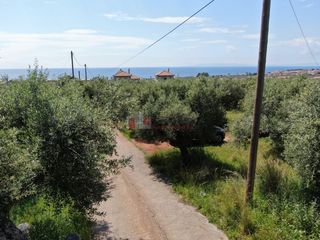 Οικόπεδο 1.759,43 τ.μ. για πώληση, Μεσσηνία, Λεύκτρος-thumb-9