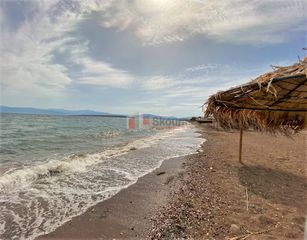 Οικόπεδο 556 τ.μ. για πώληση, Αργολίδα, Ασίνη-thumb-21