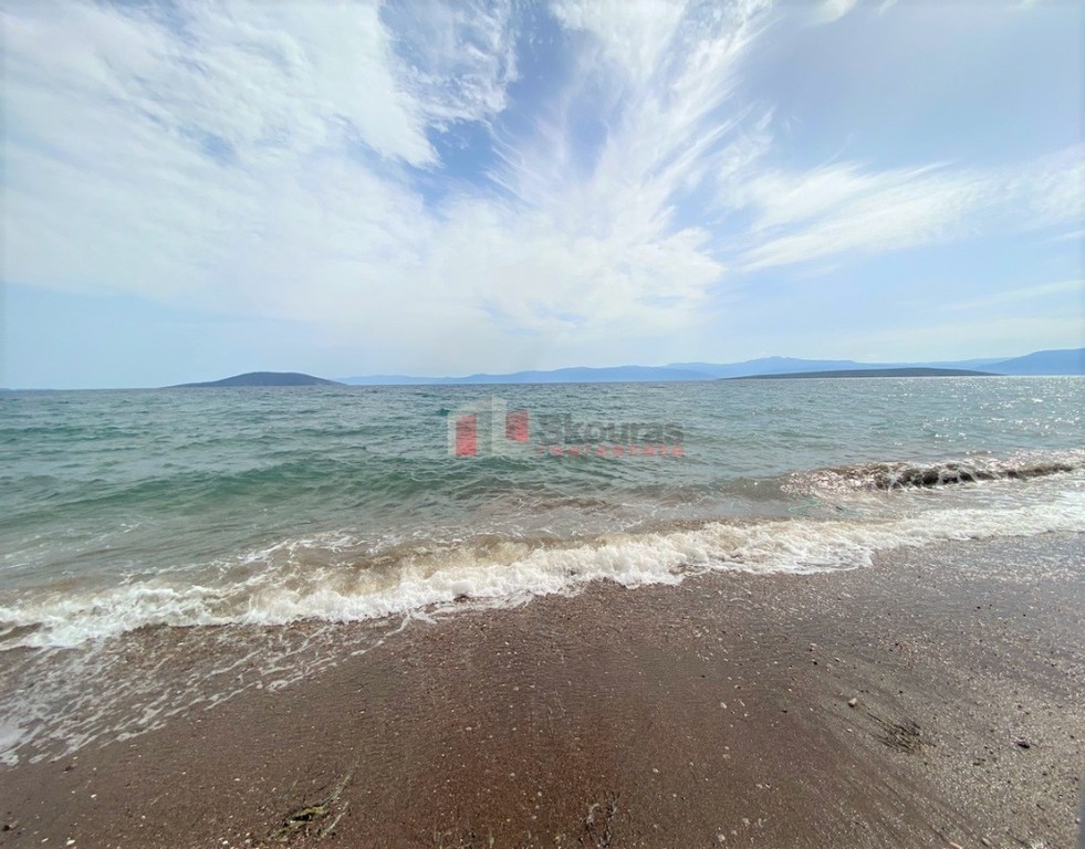 Οικόπεδο 556 τ.μ. προς πώληση, Κάντια