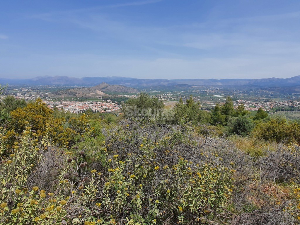 Αγροτεμάχια 440 τ.μ. προς πώληση, Κέντρο Ναυπλίου