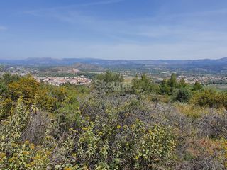 Αγροτεμάχια 440 τ.μ. για πώληση, Αργολίδα, Ναύπλιο-thumb-4