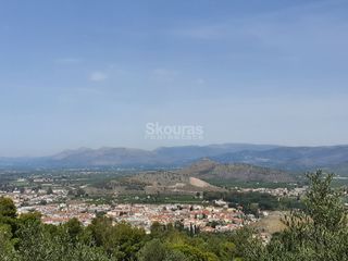 Αγροτεμάχια 440 τ.μ. για πώληση, Αργολίδα, Ναύπλιο-thumb-23