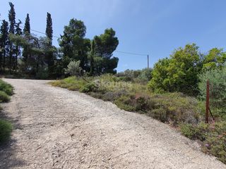 Αγροτεμάχια 440 τ.μ. για πώληση