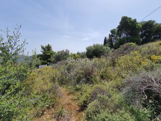 Αγροτεμάχια 440 τ.μ. για πώληση, Αργολίδα, Ναύπλιο-thumb-5