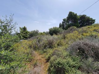 Αγροτεμάχια 440 τ.μ. για πώληση, Αργολίδα, Ναύπλιο-thumb-20