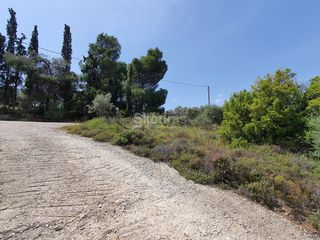 Αγροτεμάχια 440 τ.μ. για πώληση, Αργολίδα, Ναύπλιο-thumb-11