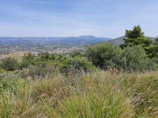 Αγροτεμάχια 440 τ.μ. για πώληση, Αργολίδα, Ναύπλιο-thumb-24