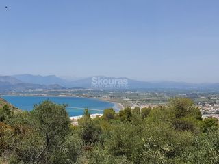 Αγροτεμάχια 440 τ.μ. για πώληση, Αργολίδα, Ναύπλιο-thumb-21