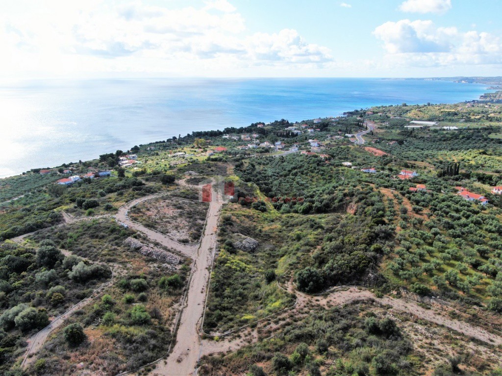 Οικόπεδο 56.000 τ.μ. προς πώληση, Αχλαδοχώρι Πεταλιδίου