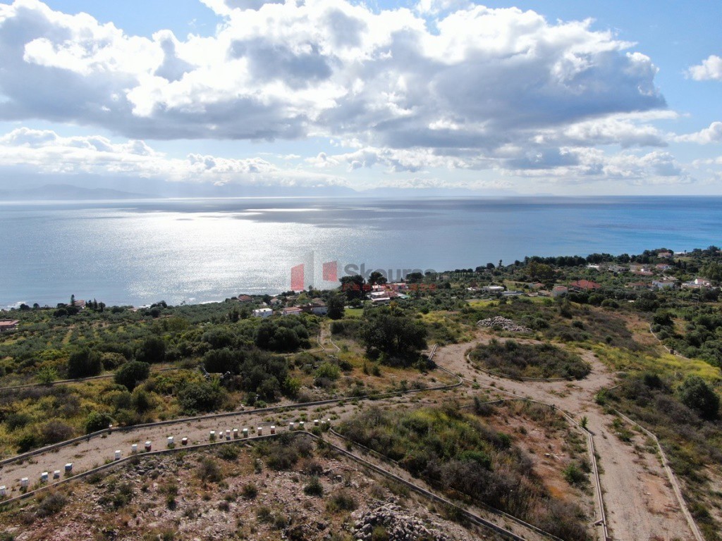 Οικόπεδο 56.000 τ.μ. προς πώληση, Αχλαδοχώρι Πεταλιδίου