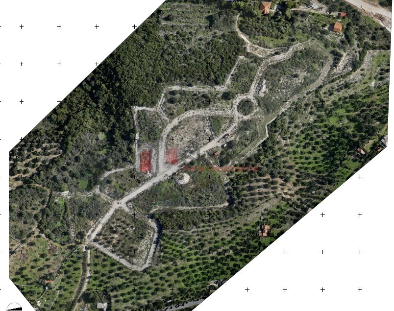 Οικόπεδο 56.000 τ.μ. προς πώληση, Αχλαδοχώρι Πεταλιδίου