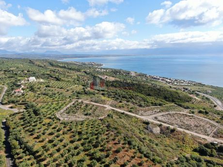 Οικόπεδο 56.000τ.μ. για πώληση-Πεταλίδι
