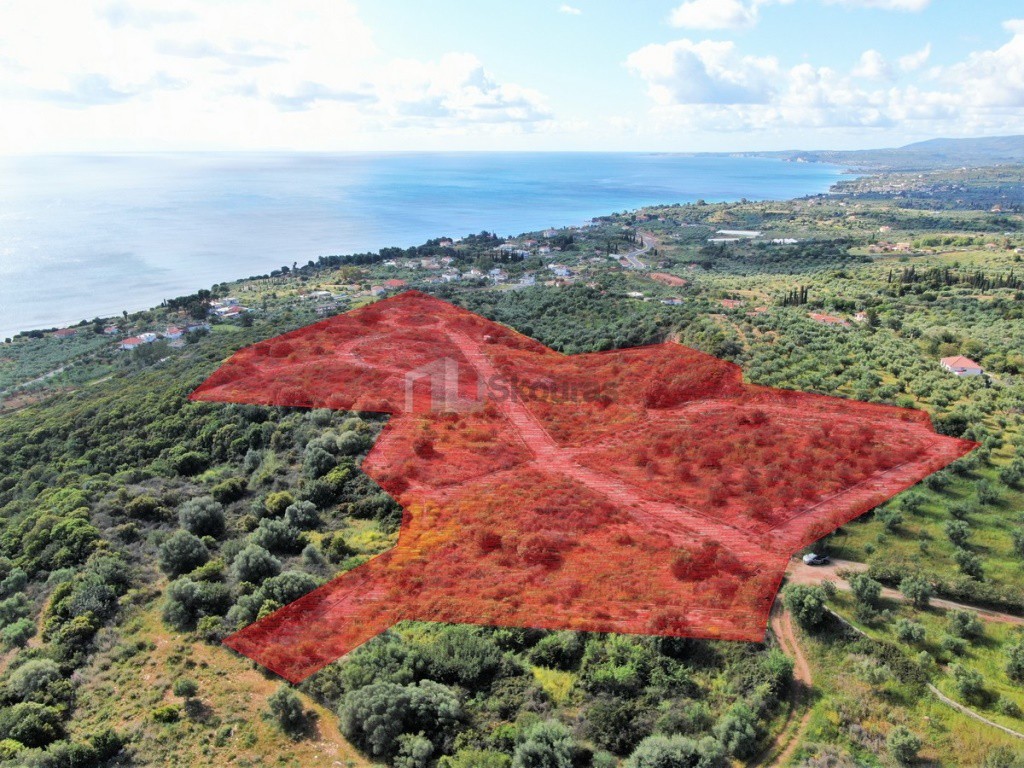 Οικόπεδο 56.000 τ.μ. προς πώληση, Αχλαδοχώρι Πεταλιδίου