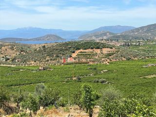 Αγροτεμάχια 10.300 τ.μ. για πώληση, Αργολίδα, Ασίνη-thumb-15