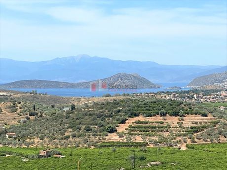 Αγροτεμάχια 10.300τ.μ. για πώληση-Ασίνη