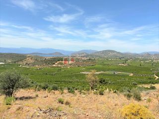 Αγροτεμάχια 10.300 τ.μ. για πώληση, Αργολίδα, Ασίνη-thumb-23