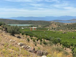 Αγροτεμάχια 10.300 τ.μ. για πώληση, Αργολίδα, Ασίνη-thumb-20