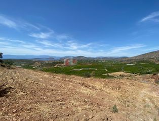 Αγροτεμάχια 10.300 τ.μ. για πώληση, Αργολίδα, Ασίνη-thumb-5