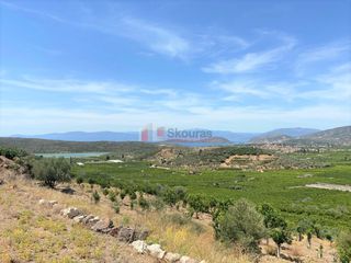 Αγροτεμάχια 10.300 τ.μ. για πώληση, Αργολίδα, Ασίνη-thumb-22