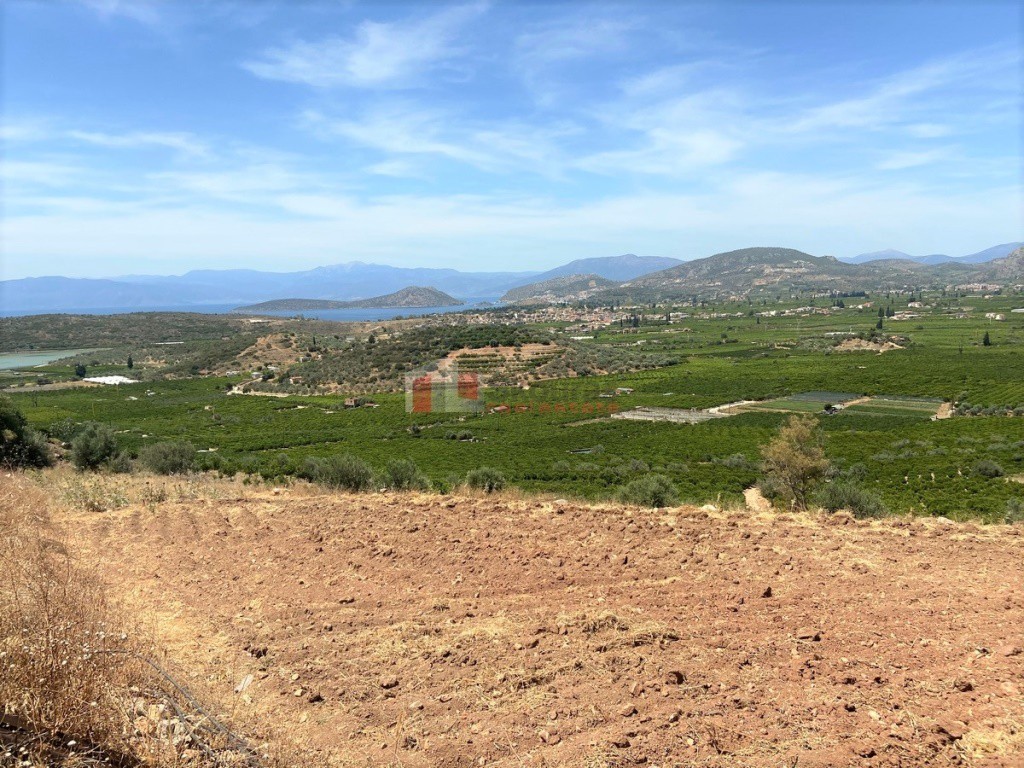 Αγροτεμάχια 10.300 τ.μ. προς πώληση, Δρέπανο Ασίνης