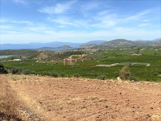 Αγροτεμάχια 10.300 τ.μ. για πώληση, Αργολίδα, Ασίνη-thumb-2