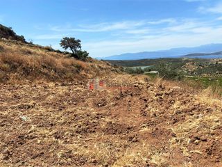 Αγροτεμάχια 10.300 τ.μ. για πώληση, Αργολίδα, Ασίνη-thumb-3