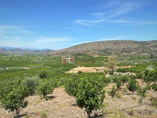 Αγροτεμάχια 10.300 τ.μ. για πώληση, Αργολίδα, Ασίνη-thumb-14