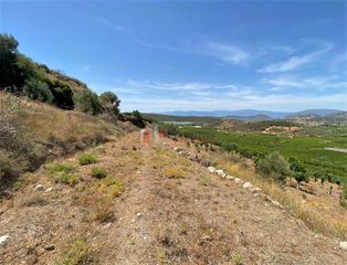 Αγροτεμάχια 10.300 τ.μ. για πώληση, Αργολίδα, Ασίνη-thumb-21
