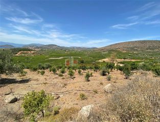 Αγροτεμάχια 10.300 τ.μ. για πώληση, Αργολίδα, Ασίνη-thumb-19
