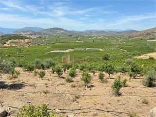Αγροτεμάχια 10.300 τ.μ. για πώληση, Αργολίδα, Ασίνη-thumb-18