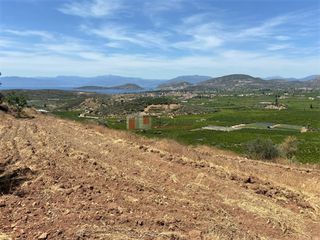 Αγροτεμάχια 10.300 τ.μ. για πώληση, Αργολίδα, Ασίνη-thumb-6