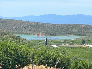 Αγροτεμάχια 10.300 τ.μ. για πώληση, Αργολίδα, Ασίνη-thumb-16