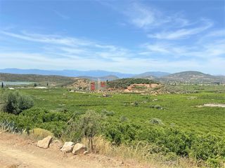 Αγροτεμάχια 10.300 τ.μ. για πώληση, Αργολίδα, Ασίνη-thumb-10