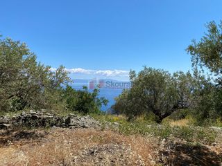 Αγροτεμάχια 6.800 τ.μ. προς πώληση, Τυρός-thumb-6