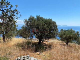 Αγροτεμάχια 6.800 τ.μ. προς πώληση, Τυρός-thumb-7