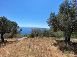 Αγροτεμάχια 6.800 τ.μ. προς πώληση, Τυρός-thumb-10