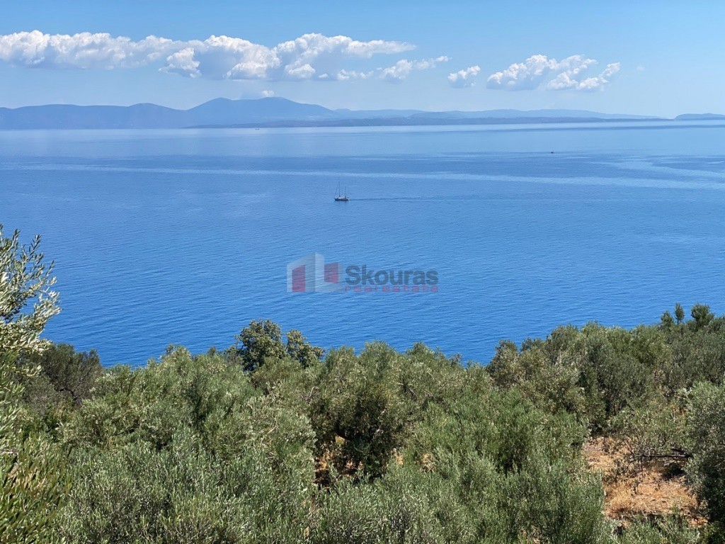 Αγροτεμάχια 6.800 τ.μ. προς πώληση, Τυρός
