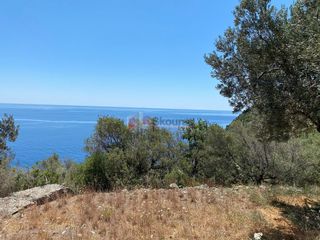 Αγροτεμάχια 6.800 τ.μ. προς πώληση, Τυρός-thumb-21