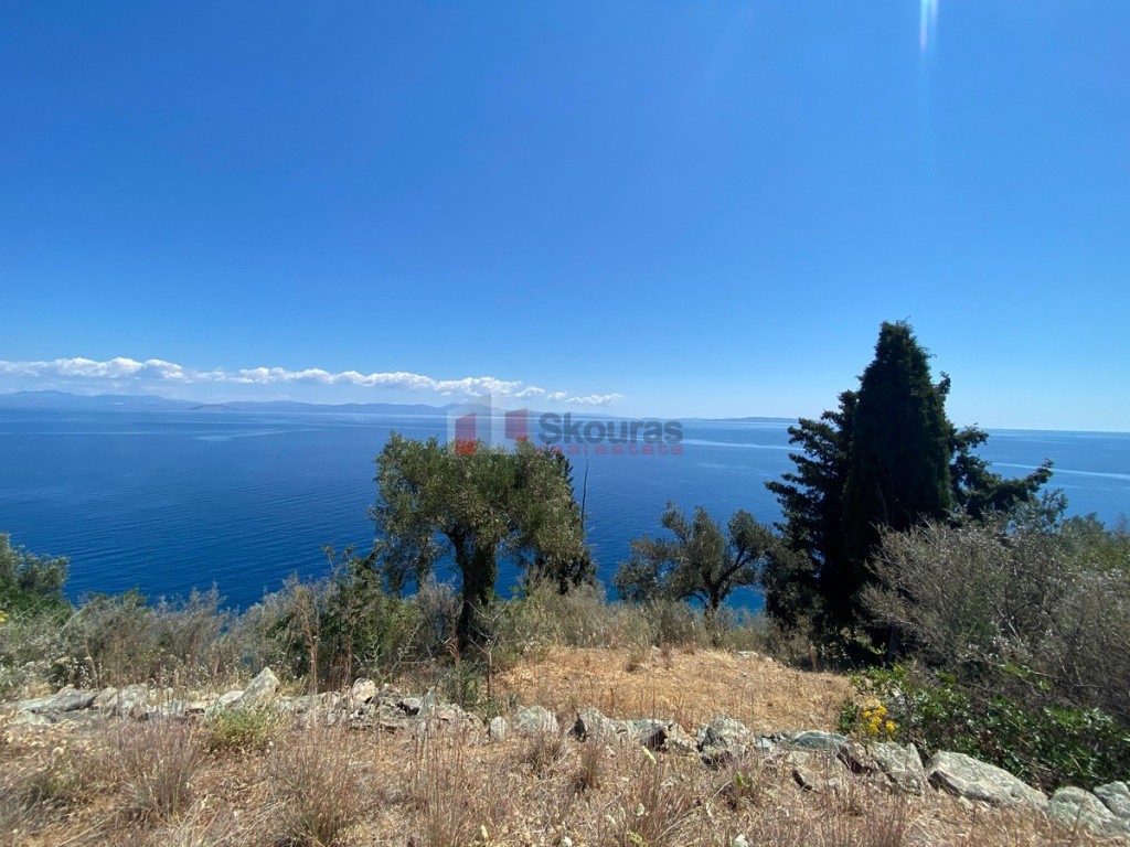 Αγροτεμάχια 6.800 τ.μ. προς πώληση, Τυρός